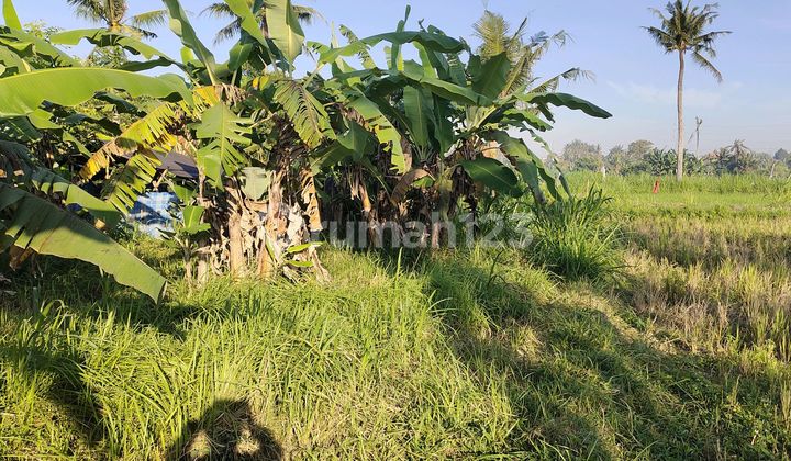Miliki Tanah Siap Bangun Dengan View Sawah Dan Gunung