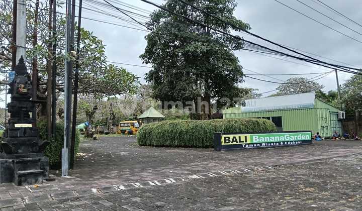 Miliki Premium Tanah Kavling Di Bali Dekat Pantai Lebih