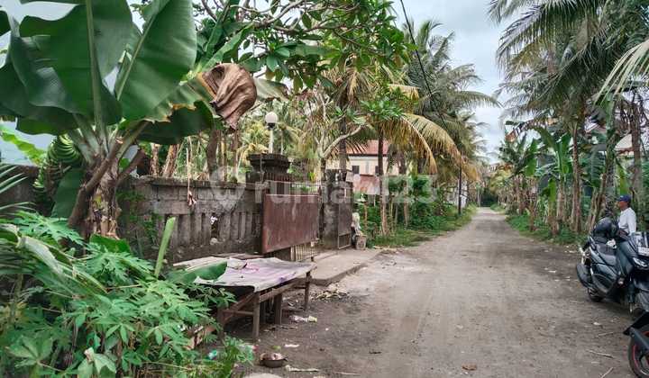 Gratis Kos Kosan 8 Pintu Hanya Hitung Tanah Saja