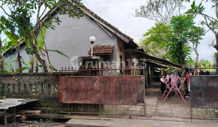 Gratis Kos Kosan 8 Pintu Hanya Hitung Tanah Saja