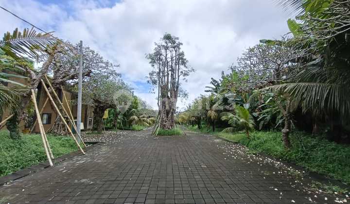 Miliki Premium Tanah Kavling Di Bali Dekat Pantai Lebih