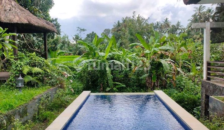 Villa Dijualdi Tirta Tawar Ubud