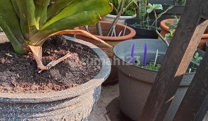 Di Jual Rumah Siap Huni Bali View Resindence Dua Lantai 2