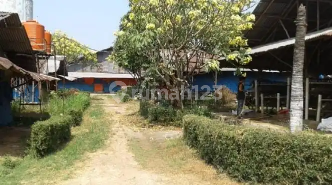 Dijual Murah Tanah 5,6 Ha di Daerah Cimuning Bekasi
