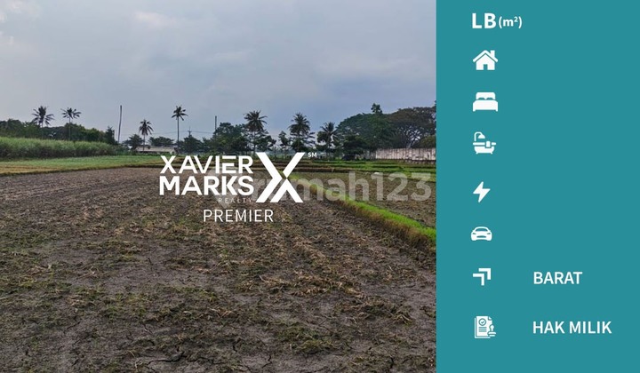 For Sale Land for Factory Housing Business with Freehold Title in Kedungkandang For Sale Land for Factory Housing Business with Freehold Title in Kedungkandang