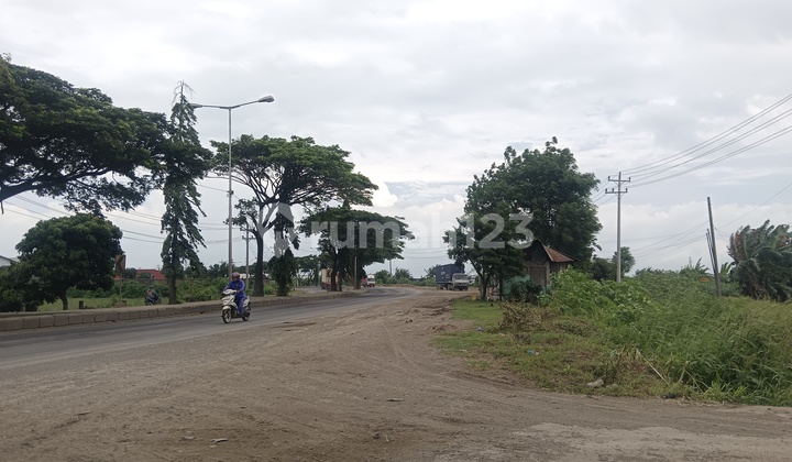Lahan Industri 167Ha Kaliwungu Banyak Investor Tertarik
