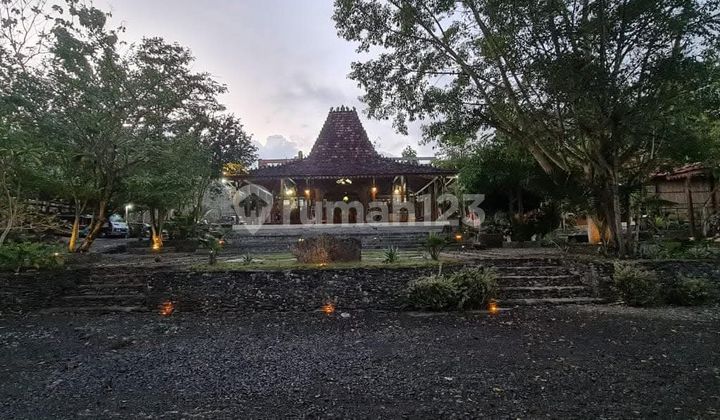 Properti Adat Jawa dan Tanah Luas 5806 M² di Desa Asri Sentolo