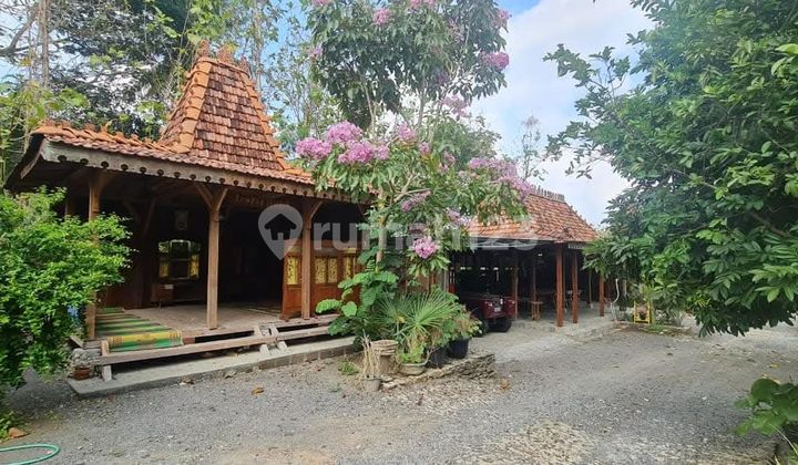 Properti Adat Jawa dan Tanah Luas 5806 M² di Desa Asri Sentolo 2