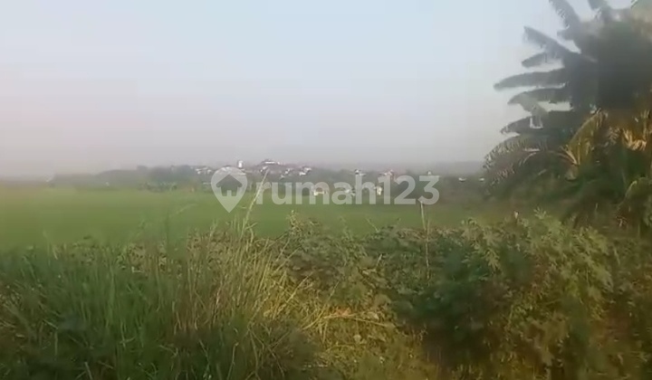 Lahan Industri 200ha Kaliwungu Banyak Investor Tertarik