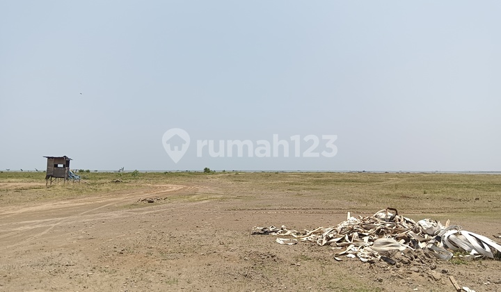 Lahan 3 Hektar Kiw Semarang Akses Tol Pengembangan 350 Ha Jn