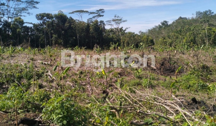 Lahan Tanah Untuk Investasi, Usaha, Gudang. Lahan Tanah Untuk Investasi, Usaha, Gudang.