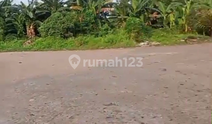 For Rent: Strategically Located Land Plot with Many Advantages