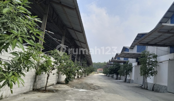 Warehouse for Rent in Strategic Location in Jonggol – Beside the Main Road!