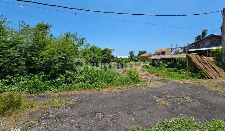 Tanah Komersil Pantai Kedungu Tabanan Bali Tanah Komersil Pantai Kedungu Tabanan Bali
