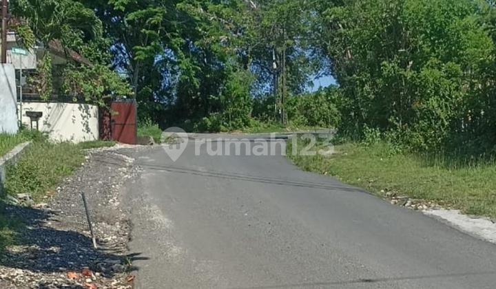 Cheap Land Gunung Payung Kutuh South Kuta Badung
