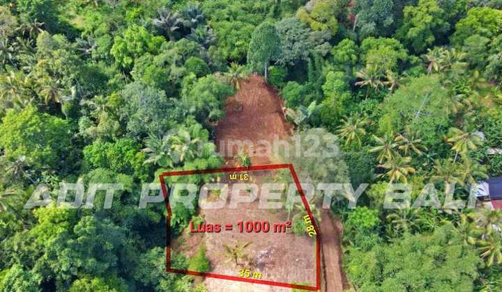 Tanah View Jungle & Sungai Payangan Ubud Gianyar Tanah View Jungle & Sungai Payangan Ubud Gianyar