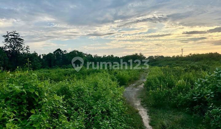Tanah Bukit Lestari Jimbaran Badung Bali Tanah Bukit Lestari Jimbaran Badung Bali