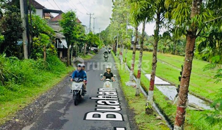 Tanah View Sawah Buahan Tabanan Bali Tanah View Sawah Buahan Tabanan Bali