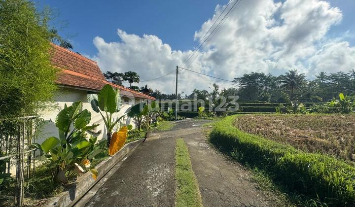 Tanah Tegallalang Ubud Gianyar Bali