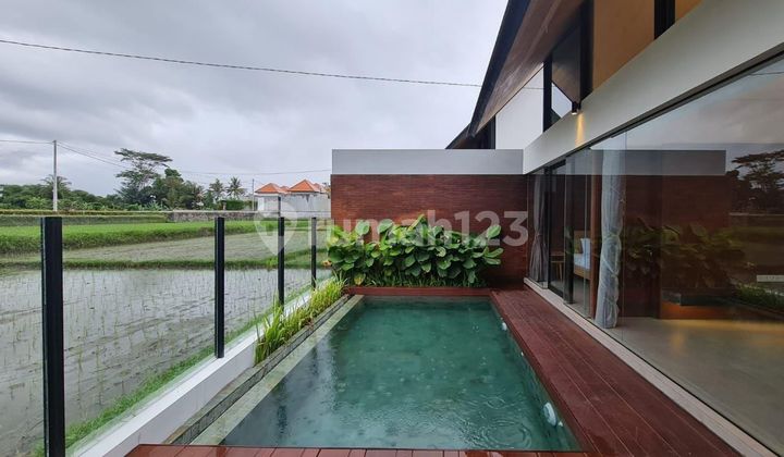 Villa View Sawah Lodtunduh Ubud Gianyar Bali