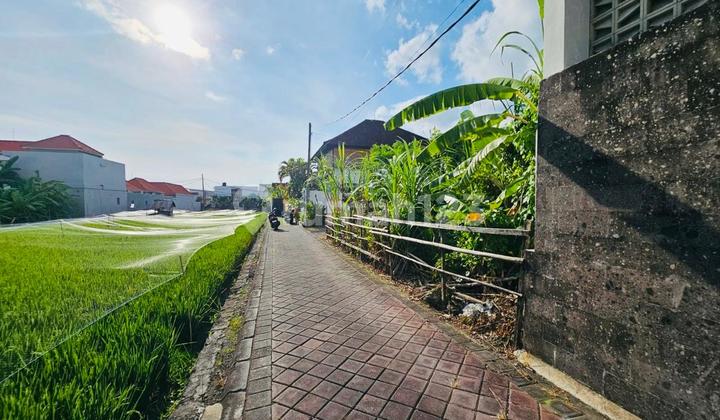 Tanah Berawa Canggu Kuta Utara Badung Tanah Berawa Canggu Kuta Utara Badung
