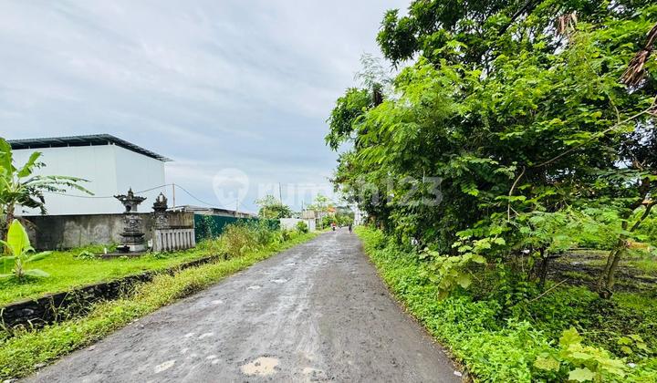 Cheap beach land Singing Tabanan Bali Cheap beach land Singing Tabanan Bali