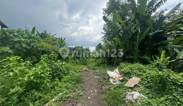 Tanah Murah Dalung Kerobokan Badung Bali Tanah Murah Dalung Kerobokan Badung Bali