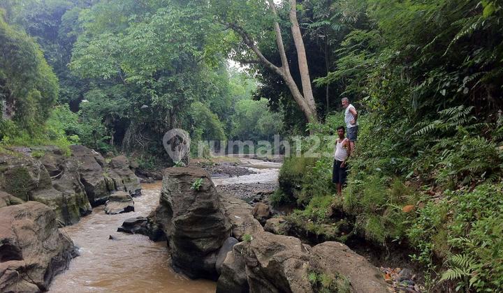 Los Sungu Kedungu Kediri Tabanan Land