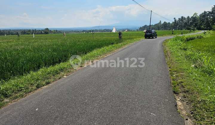 Tanah Pertanian Gadungan Tabanan Bali