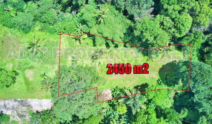 Land View Jungle & River Payangan Ubud Gianyar