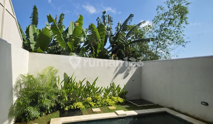 Villa View Sawah Seminyak Badung Bali