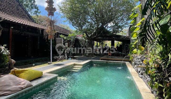 Cheap Land in Merdeka Raya, Kuta, Badung, Bali