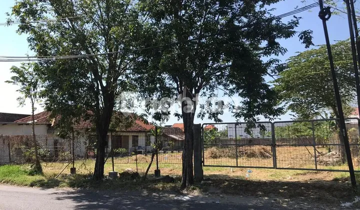 Tanah Jl Jelidro, 0 Jalan bisa untuk Usaha Dekat dengan Kompleks Graha Natura & Citraland