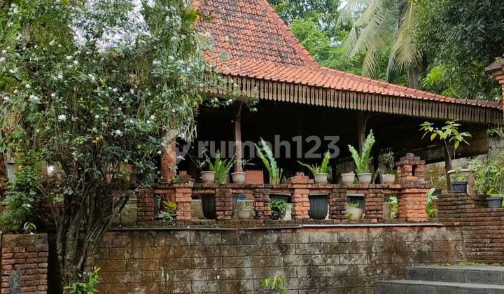 Joglo Type House in Bintaro Jaya Sector 9 2