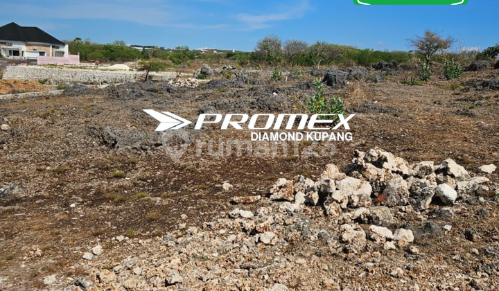 LAND FOR SALE LOCATION RSS OESAPA LAND FOR SALE LOCATION RSS OESAPA