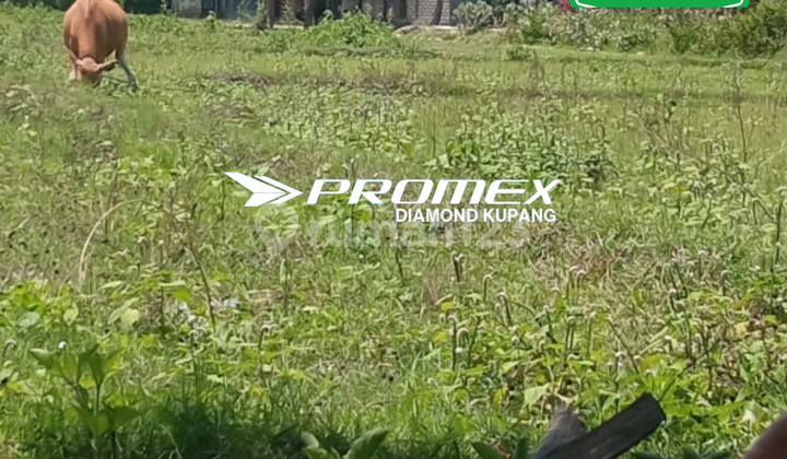 Land for Sale in Oekabiti Location