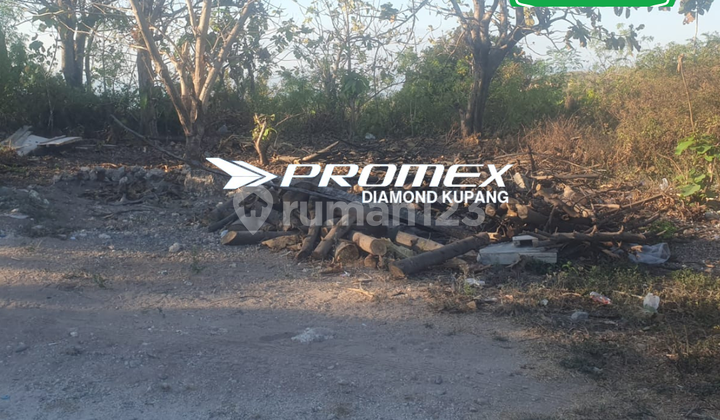 DIJUAL TANAH LOKASI MAULAFA KUPANG