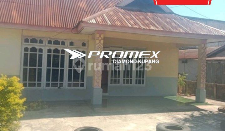 For Sale House Location Behind Potekes Liliba Kupang 1