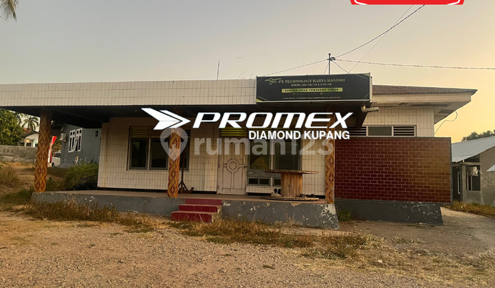 DISEWAKAN RUMAH LOKASI KOLHUA KUPANG 1