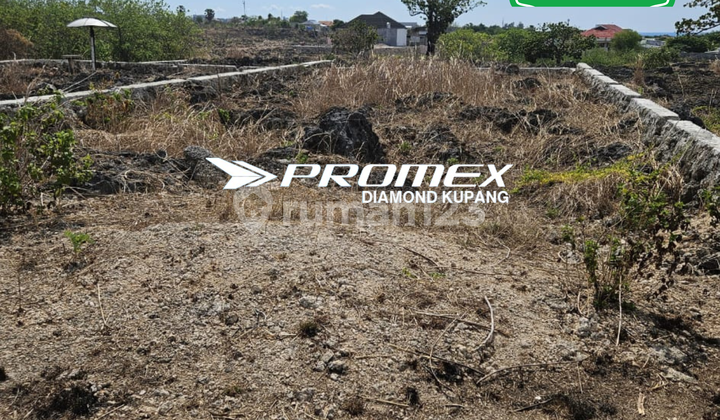 FOR SALE LAND LOCATION RSS OESAPA KUPANG FOR SALE LAND LOCATION RSS OESAPA KUPANG
