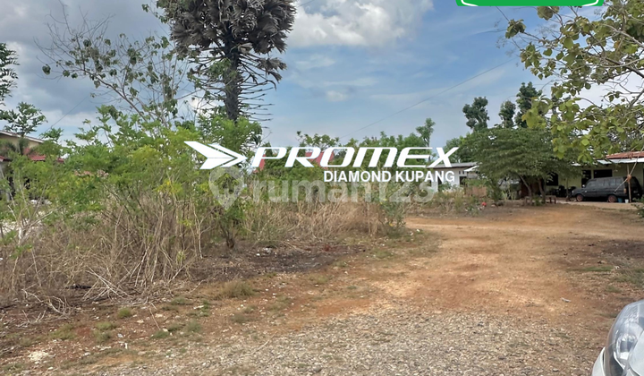 DIJUAL TANAH DEPAN KANTORSAR KUPANG DIJUAL TANAH DEPAN KANTORSAR KUPANG