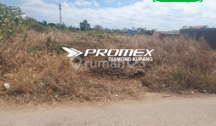 LAND FOR SALE LOCATED IN OESAPA, KUPANG LAND FOR SALE LOCATED IN OESAPA, KUPANG