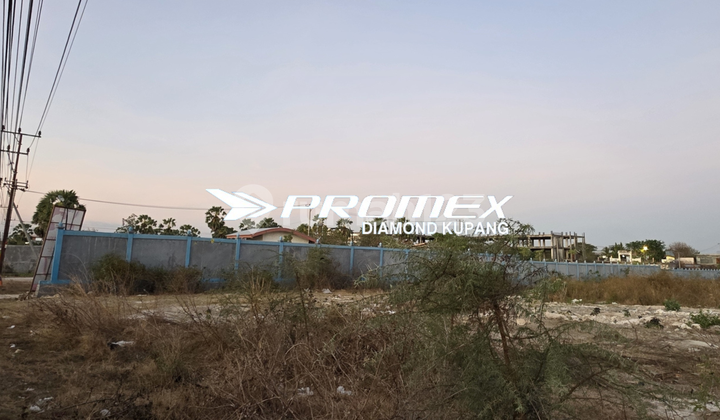 FOR SALE LAND IN STRATEGIC LOCATION BIMOKU AREA KUPANG CITY NTT FOR SALE LAND IN STRATEGIC LOCATION BIMOKU AREA KUPANG CITY NTT