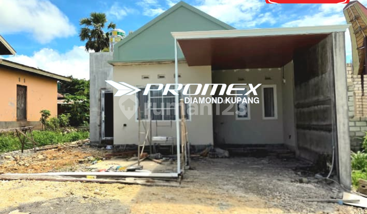 Dijual Rumah Lokasi Liliba Kupang Dijual Rumah Lokasi Liliba Kupang