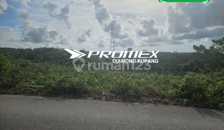 DIJUAL TANAH LOKASI FATUKOA KUPANG DIJUAL TANAH LOKASI FATUKOA KUPANG