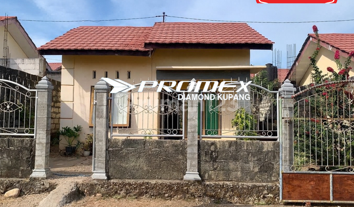 Dijual Rumah Lokasi Alak Kupang Dijual Rumah Lokasi Alak Kupang