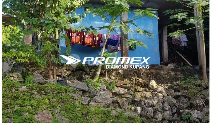Dijual Rumah Lokasi Naikoten Kupang 2