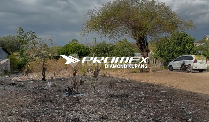 LAND FOR SALE NEXT TO UPTD PHARMACY INSTALLATION, KUPANG CITY HEALTH DEPARTMENT LAND FOR SALE NEXT TO UPTD PHARMACY INSTALLATION, KUPANG CITY HEALTH DEPARTMENT