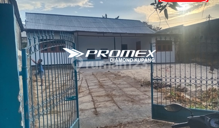 For Rent House Location Naikoten Kupang 1