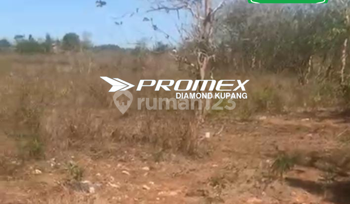 DIJUAL TANAH LOKASI OELOMIN